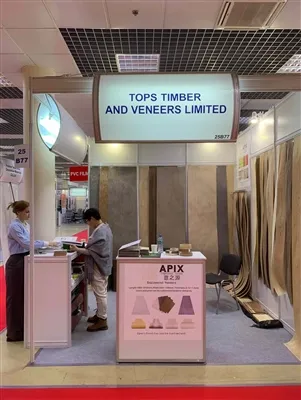 A 35ª exposição internacional de móveis, acessórios de móveis e estofados (Me...