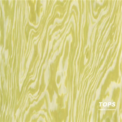 Série de designers de arquitetura de folheado de madeira projetada premium