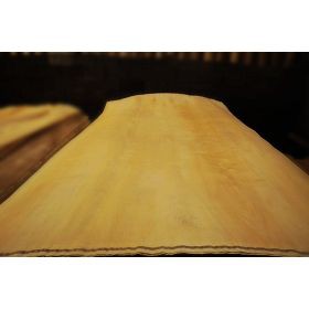 Folheado de vidoeiro